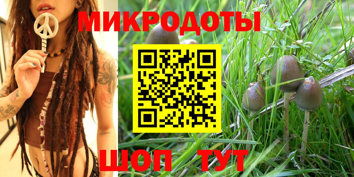 Галлюциногенные грибы Psilocybine cubensis  Вход с VPN  наркотики  Луховицы 